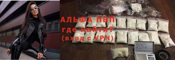 амф Верея