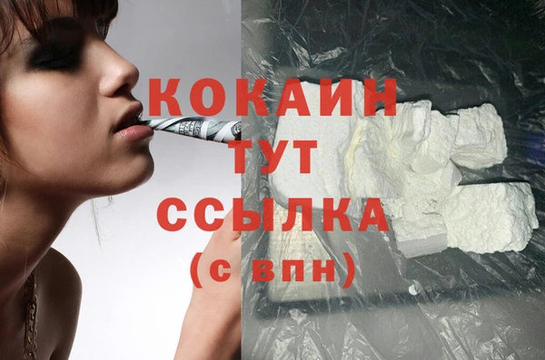 мдпв Верхний Тагил
