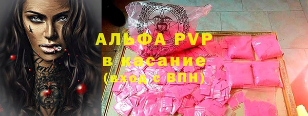 амф Верея