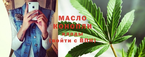 мдпв Верхний Тагил